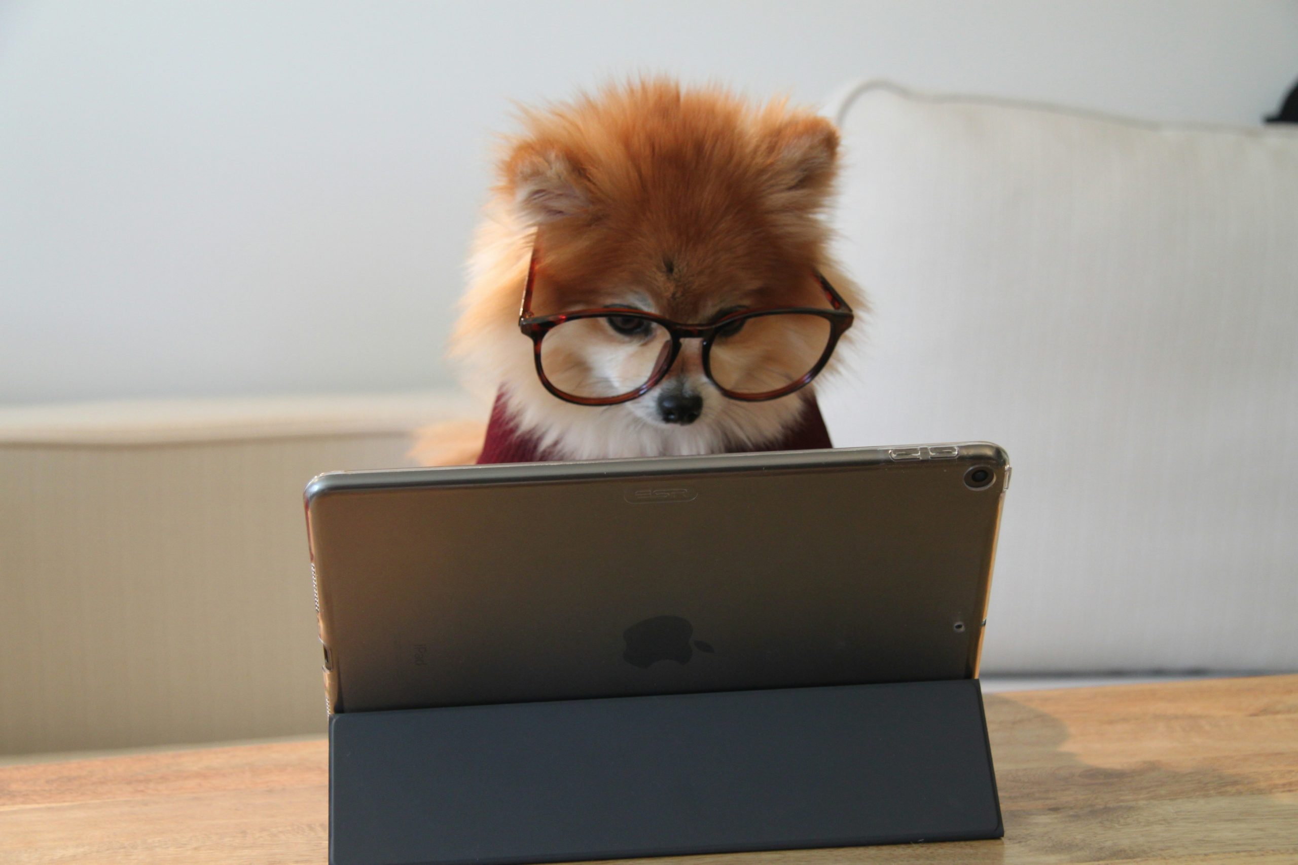 Using the Internet to Improve Your Language Skills Using the Internet to Improve Your Language Skills