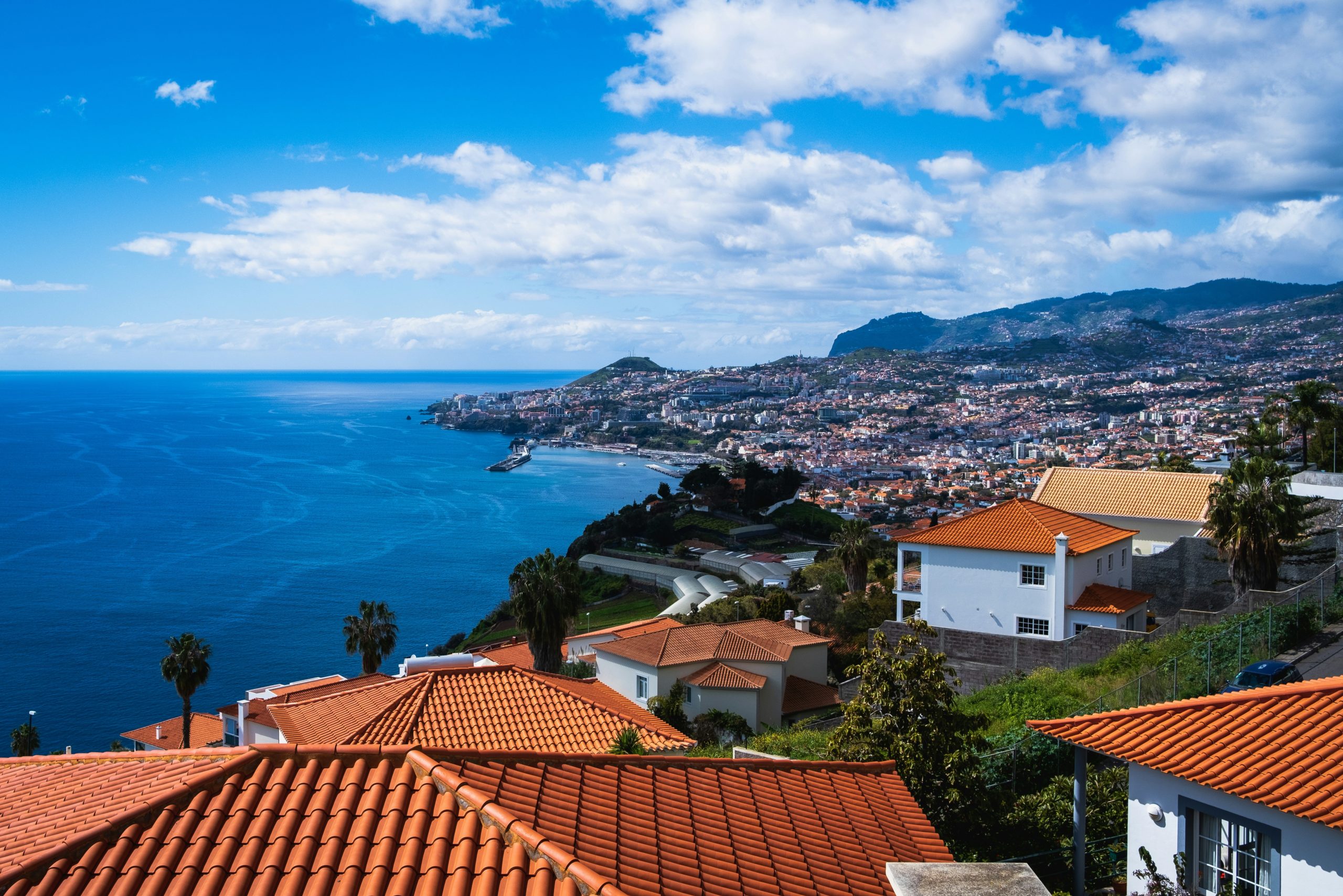 Language, Translation, and the Essence of Madeira Language, Translation, and the Essence of Madeira