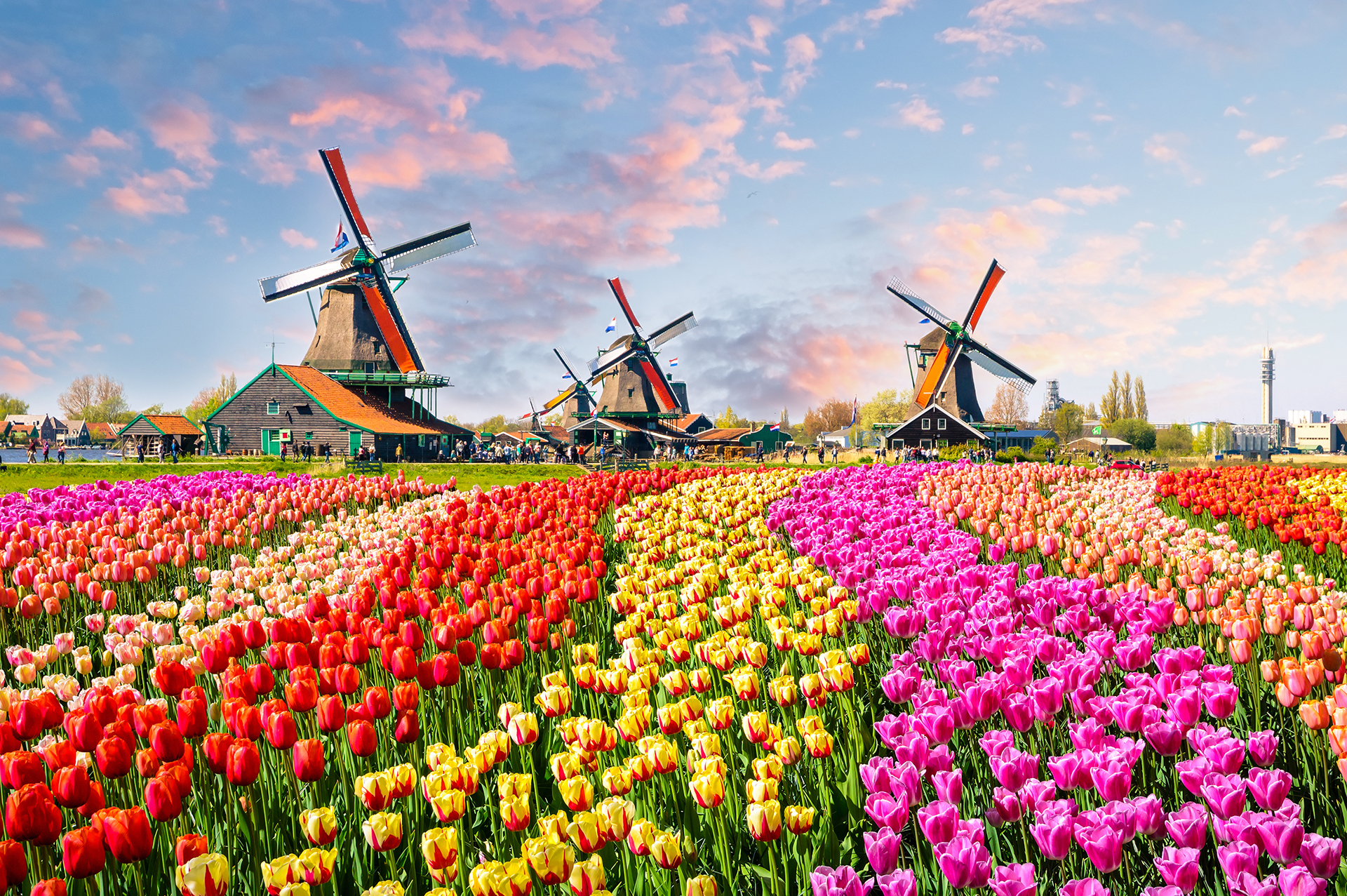 Business Passport to: The Netherlands – Why Translate Your Company’s Material Into Dutch? Business Passport to: The Netherlands – Why Translate Your Company’s Material Into Dutch?
