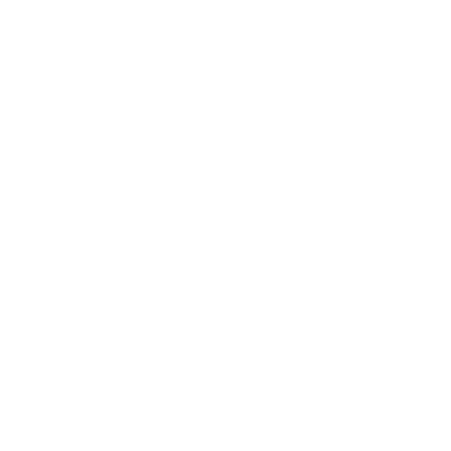 Language Translation Services for the Financial Sector