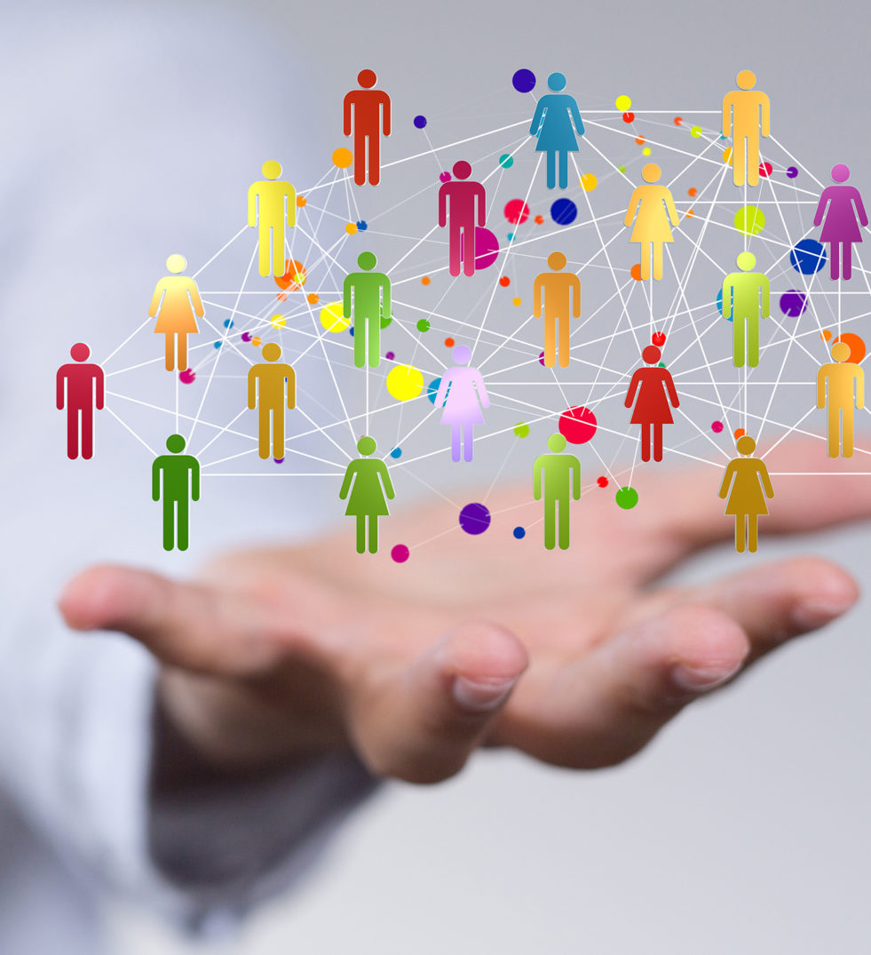 Language Translation Project Management Language Translation Project Management