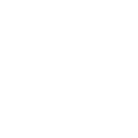 Language Translation Services for Patents