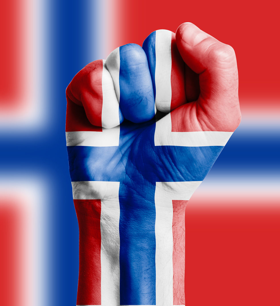 Norwegian Language Translation Norwegian Language Translation