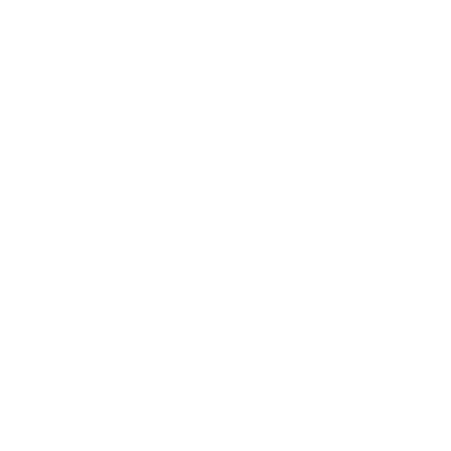 Language Translation Services for Patents